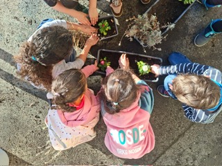 PHOTO 2026 02 25 11 46 04