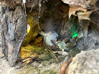 13ecfc46 8831 42ad ab3a c80073aa2041